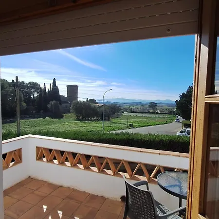 Anglaterra 13 レスタルティット